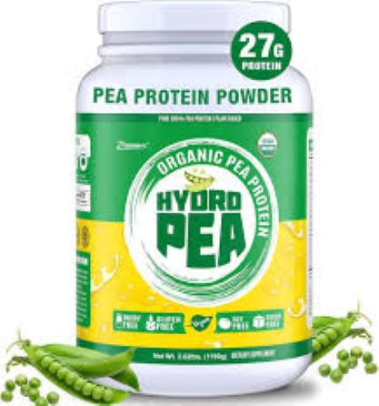 Plant Based Protein